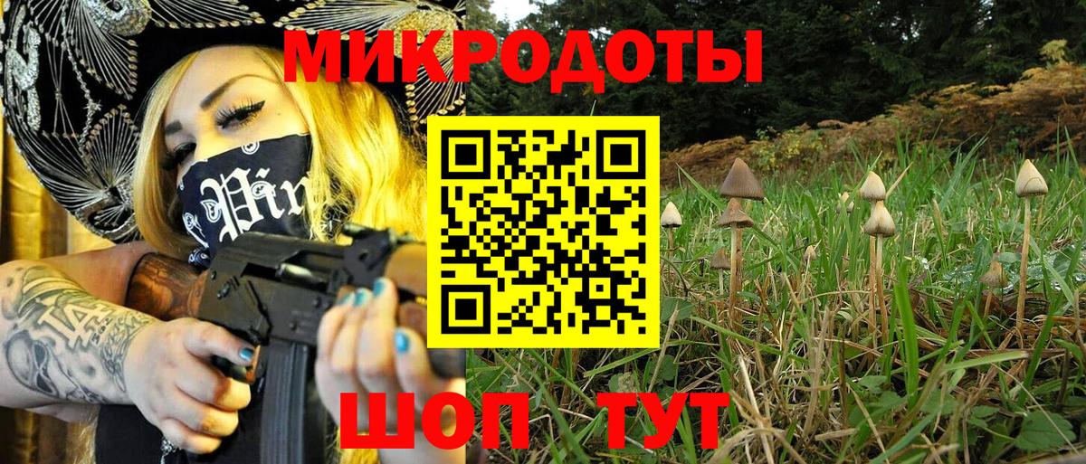 Псилоцибиновые грибы мицелий  Псилоцибиновые грибы MAGIC MUSHROOMS  купить   Богородск  Вход с VPN 